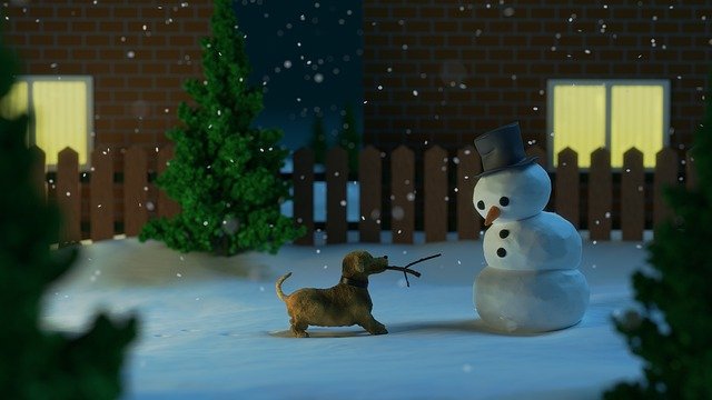 Dog in snow.